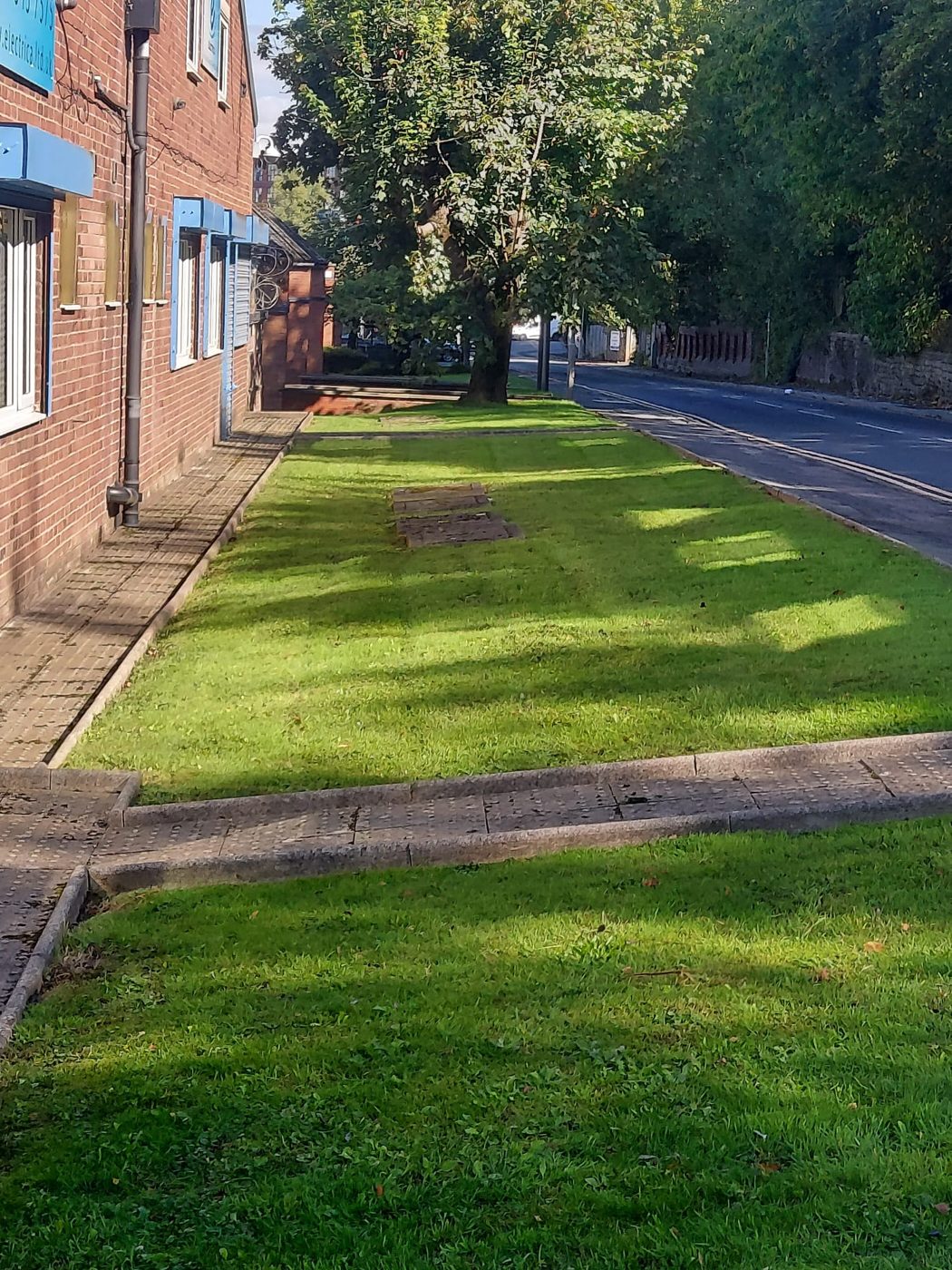 Maintained grass and tidy edges beside a brick commercial building and roadside trees